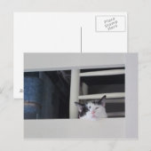 Schöne Aussicht Briefkaart (Voorkant / Achterkant)