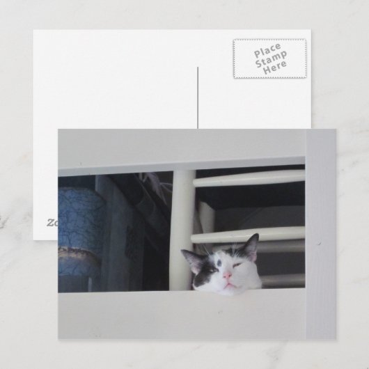 Schöne Aussicht Briefkaart (Voorkant / Achterkant)