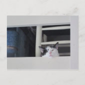 Schöne Aussicht Briefkaart (Voorkant)