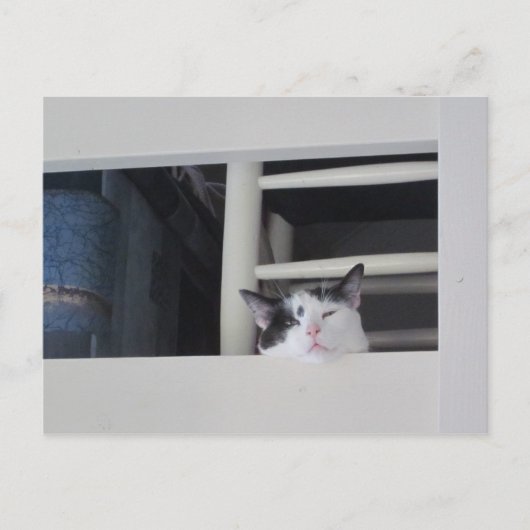 Schöne Aussicht Briefkaart (Voorkant)