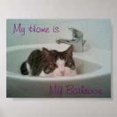 Schone kat poster (Voorkant)