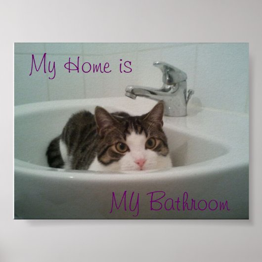 Schone kat poster (Voorkant)