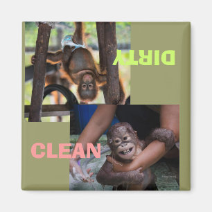 Schone of vuile afwasmachines magneet