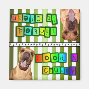 Schone of vuile gerechten magneet