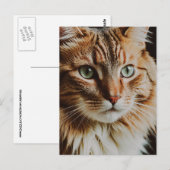 SCHONE TABBY KAT POSTKAART (Voorkant / Achterkant)