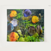 SCHONE VISFOTO-ACHTERGROND WANDKLEED (Voorkant (horizontaal))