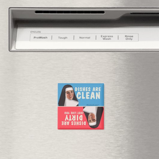 Schone vuile vaatwasser grappige non magneet (Insitu (Vaatwasser))