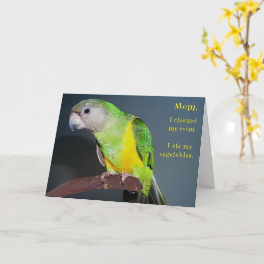 Schone Zaal Kaart (Gele Bloem)