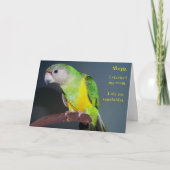 Schone Zaal Kaart (Voorkant)