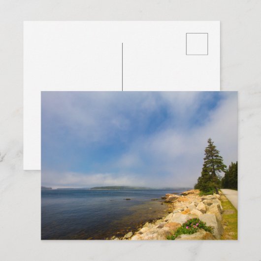 Schoodic Peninsula, Acadia National Park, Maine Briefkaart (Voorkant / Achterkant)