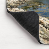 Schoodic Peninsula in Maine Muismat (Hoek)