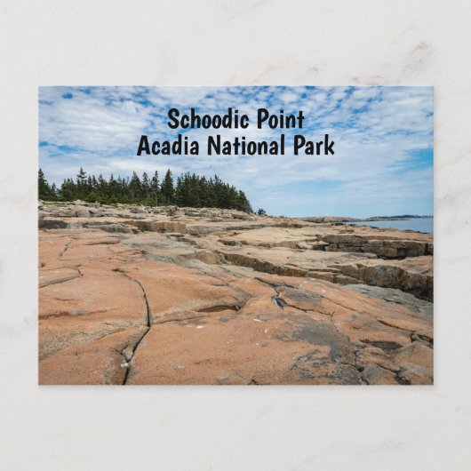 Schoodic Point in Acadia National Park in Maine Briefkaart (Voorkant)