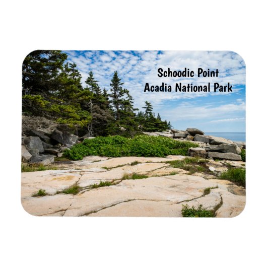 Schoodic Point in Acadia National Park in Maine Magneet (Horizontaal)