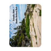 Schoodic Point in Acadia National Park in Maine Magneet (Verticaal)