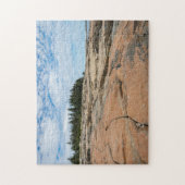 Schoodic Point in Acadia National Park Legpuzzel (Verticaal)