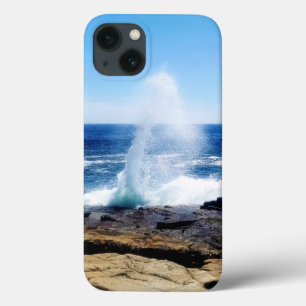 Schoodic Point iPhone hoesjes