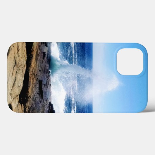 Schoodic Point iPhone hoesjes (Achterkant (horizontaal))