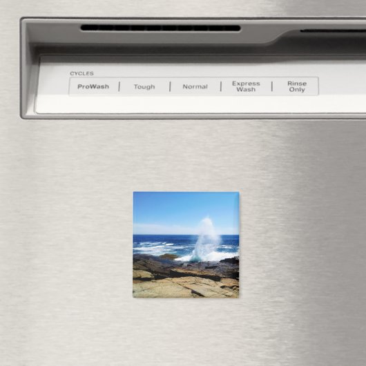 Schoodisch punt magneet (Insitu (Vaatwasser))