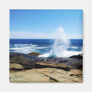 Schoodisch punt magneet