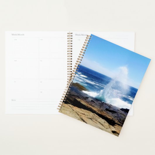 Schoodisch punt planner (Display)