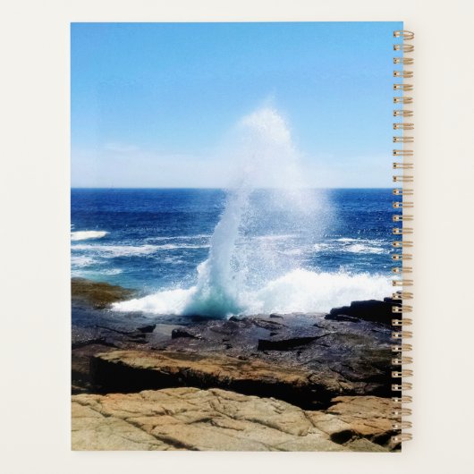 Schoodisch punt planner (Achterkant)