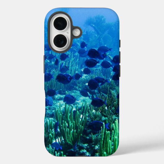 School blauwe discusvissen onderwater foto Case-Mate iPhone case (Achterkant)