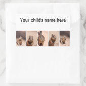 School Boek Stickers Chipmunk Eekhoorn (Tas)