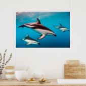 School donkere dolfijnen voor de kust van Kaikoura Poster (Keuken)