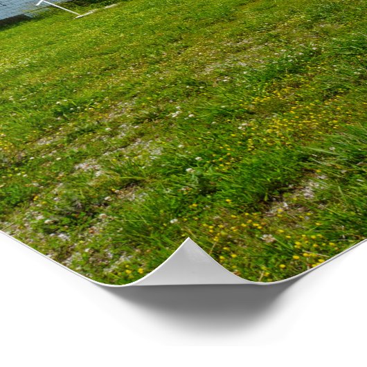 School in Locust Prairie Poster (Hoek)