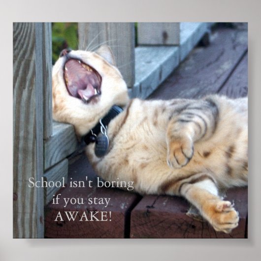 School is niet aan het boren poster (Voorkant)