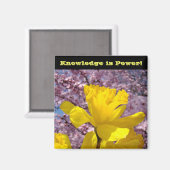 School Locker magneten Kennis is Macht! (Voorkant / Achterkant)