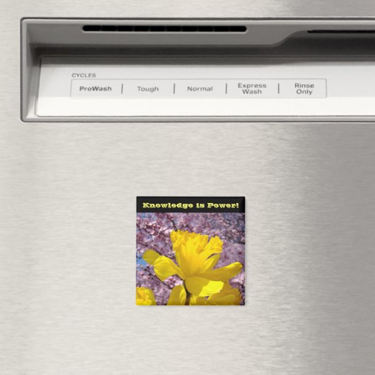 School Locker magneten Kennis is Macht! (Insitu (Vaatwasser))