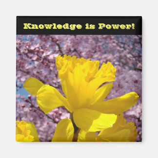 School Locker magneten Kennis is Macht!