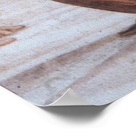 School of Athene (detail - Plato & Aristoteles) Poster (Hoek)