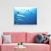 School of blackfin barracuda (Sphyraena qenie) Canvas Afdruk (Insitu (Woonkamer))