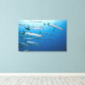 School of blackfin barracuda (Sphyraena qenie) Canvas Afdruk (Insitu (Houten vloer))