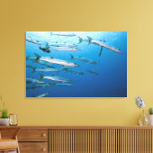 School of blackfin barracuda (Sphyraena qenie) Canvas Afdruk (Insitu (Woonkamer))
