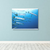 School of blackfin barracuda (Sphyraena qenie) Canvas Afdruk (Insitu (Houten vloer))
