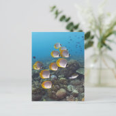 School of Fish 2 Briefkaart (Staand voorkant)