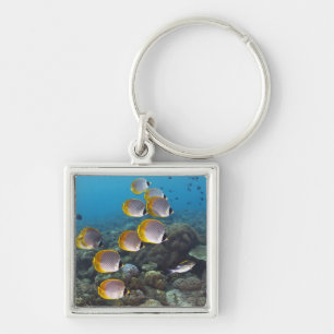 School of Fish 2 Sleutelhanger