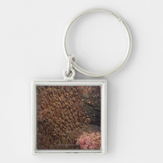 School of Fish 2 Sleutelhanger (Voorkant)