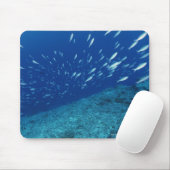 School of Fish 6 Muismat (Met muis)