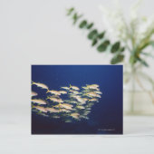 School of Fish 8 Briefkaart (Staand voorkant)