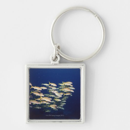 School of Fish 8 Sleutelhanger (Voorkant)