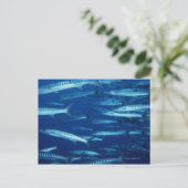 School of Fish 9 Briefkaart (Staand voorkant)