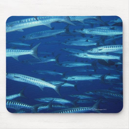 School of Fish 9 Muismat (Voorkant)