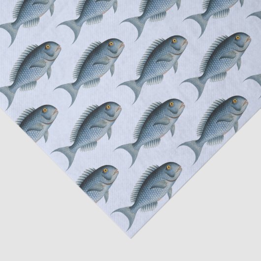 School of Fish Tissue Paper Tissuepapier (Detail)