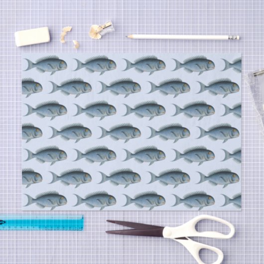 School of Fish  Tissue Paper Tissuepapier (Craft)