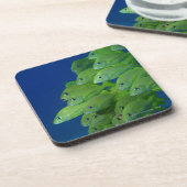 School of franse bluestriped and margate grunts bier onderzetter (Linkerzijde)