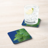 School of franse bluestriped and margate grunts bier onderzetter (Rechterzijde)